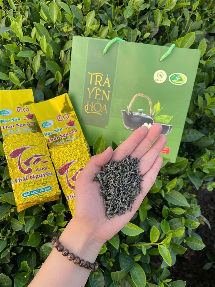 Trà Yên Hòa giữa đồi chè Thái Nguyên